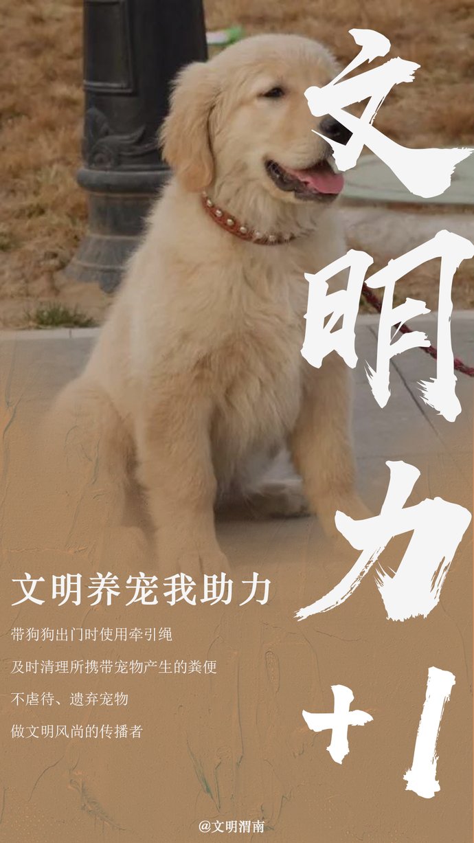 心动|“文明力”MAX的渭南，你心动了吗？