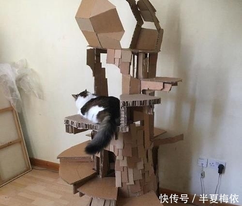 豪华|有才!外国网友用废纸箱,给喵星人打造豪华城堡
