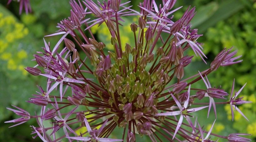  巨蟹座的人|不会错好时机走上人生巅峰，8月好运爆棚的四星座