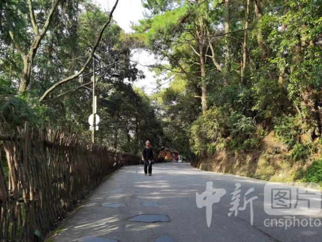 部落|中国最后一个枪手部落，正做着一杆“枪”的生意