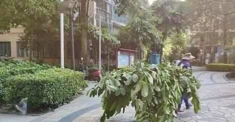  小区|痛心！福州某小区一大学生凌晨坠楼，清晨发现时已身亡！