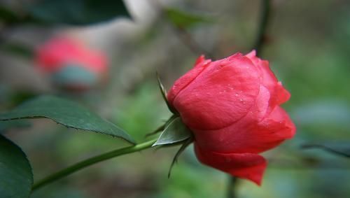  真朋|“真朋好友，一试便知”：用这四种方法验证朋友，会净化你的圈子