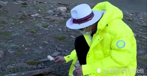  采摘|刘宇宁采摘的是真雪莲，《极挑》做公益只是表面文章，名声彻底败坏