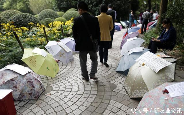 到哪去|“我们村有50多个光棍”，现在农村的漂亮女孩，都嫁到哪去了？