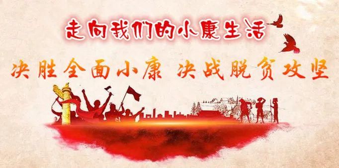  公司发展|走向我们的小康生活丨赖新民：以产业融合发展助推乡村振兴