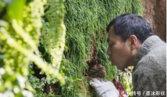 肉眼|5年前,用肉眼帮助警方破案轰动科学界的王昱珩,现状如何了?