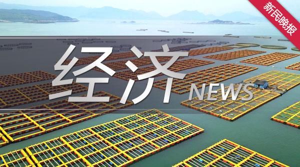 社保|延期减免社保、降低电价……上海出台22条政策支持中小企业发展