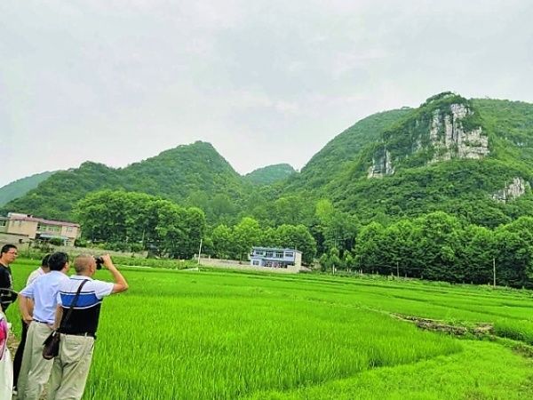 隐患点|马场镇多措并举做实汛期地质灾害排查防范工作