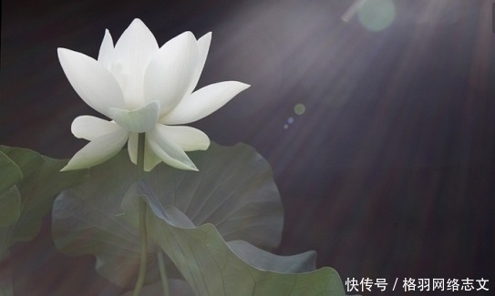 佛祖|佛说:一个人有没有福报,全凭一个字,能做到的人,福报才会来临