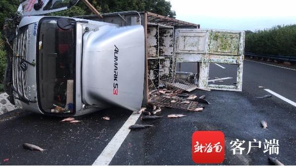  高速|突发！环岛高速万宁段一货车冲向对面公路撞车侧翻