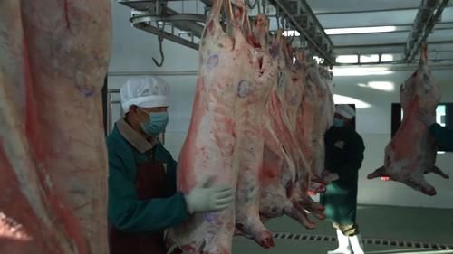马海麟|90后小伙不断“借力” 让父亲年销百万变千万