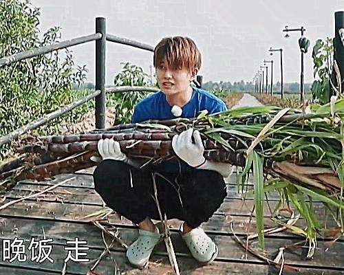 出过|任嘉伦扛不动甘蔗时,谁注意他说了句啥不愧是出过国超文集的人