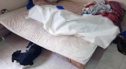 发现|女子中445元彩票后喝酒庆祝，深夜丈夫发现她躺在地上身亡