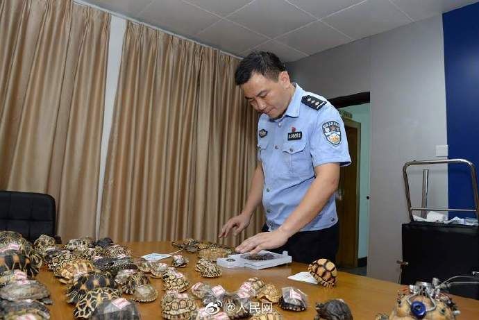 野生动物|福建破获价值超千万贩卖野生动物案