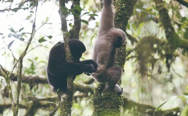 生长|云之南，一个生生不息、万物生长的地方