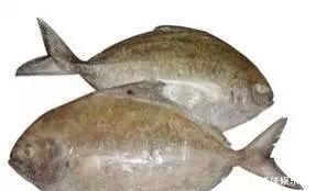 海鲜|海鲜大全, 你能认出多少