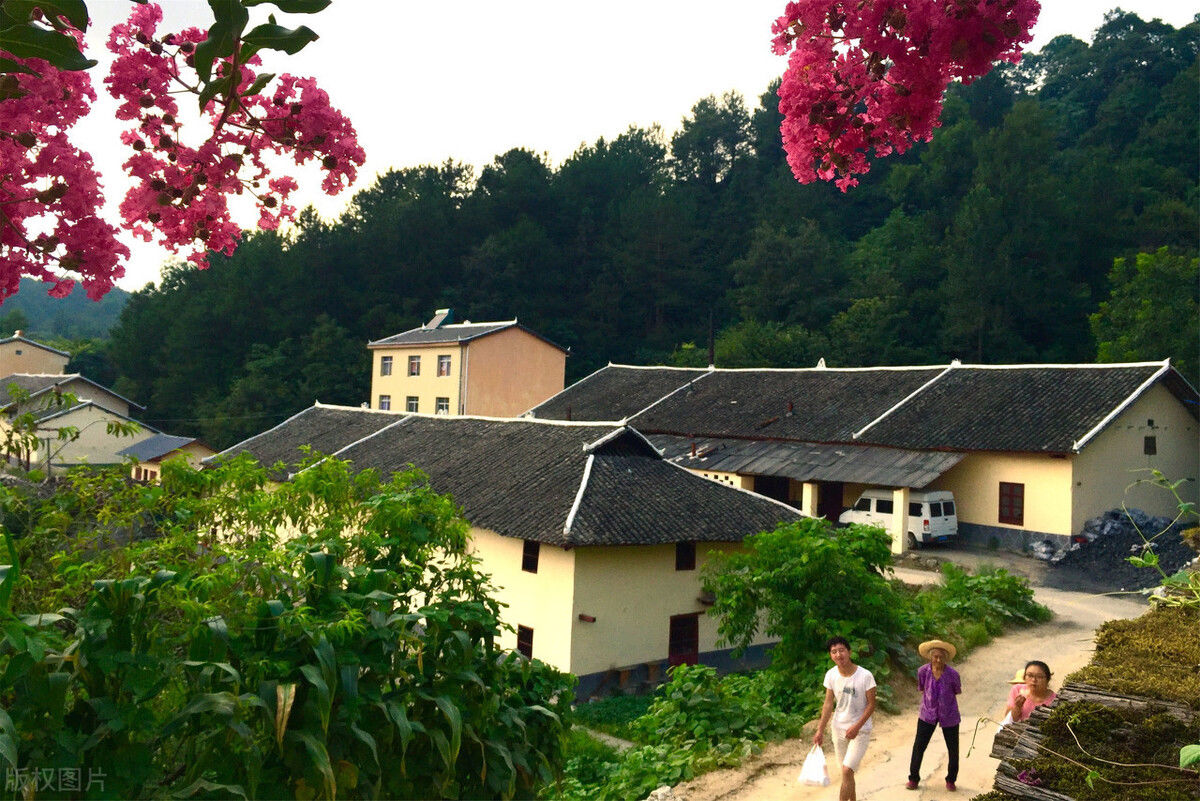 为啥|农村老话“靠老大，疼老三，最不待见是老二”，为啥老二不受待见