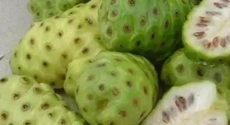 腻害|世间这8种奇葩水果,我就吃过一种,你要是全部都吃过,就腻害了