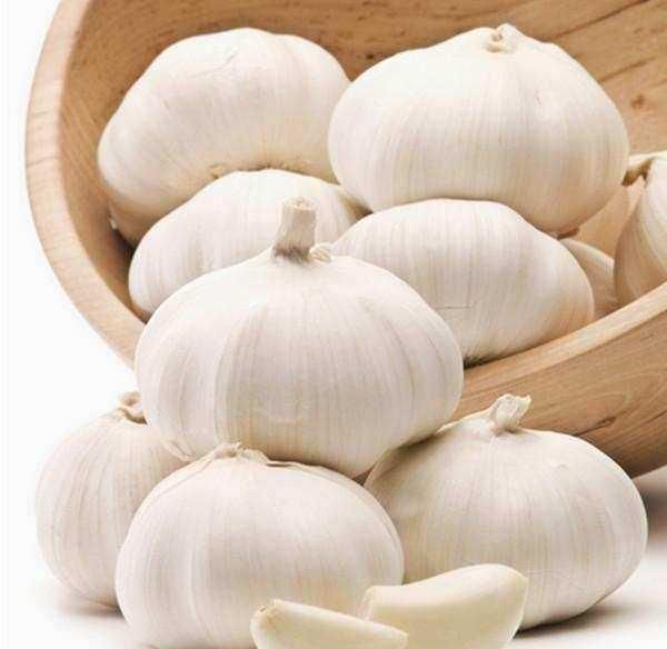 着很好|大蒜功效多,但生吃大蒜男女效果“大不同”, 尤其男人要注意!
