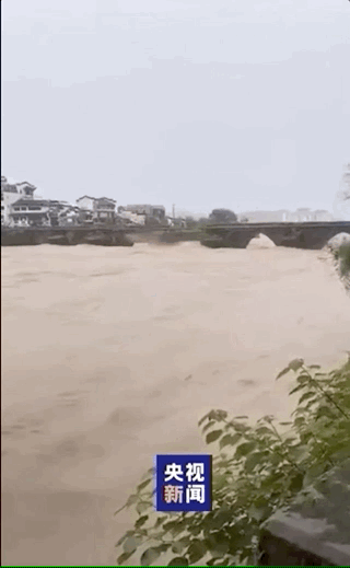  不想|洪水来了，最不想看到的一幕发生了……