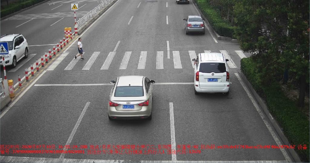 曝光|泰安这些车和人被警方曝光！原因是……