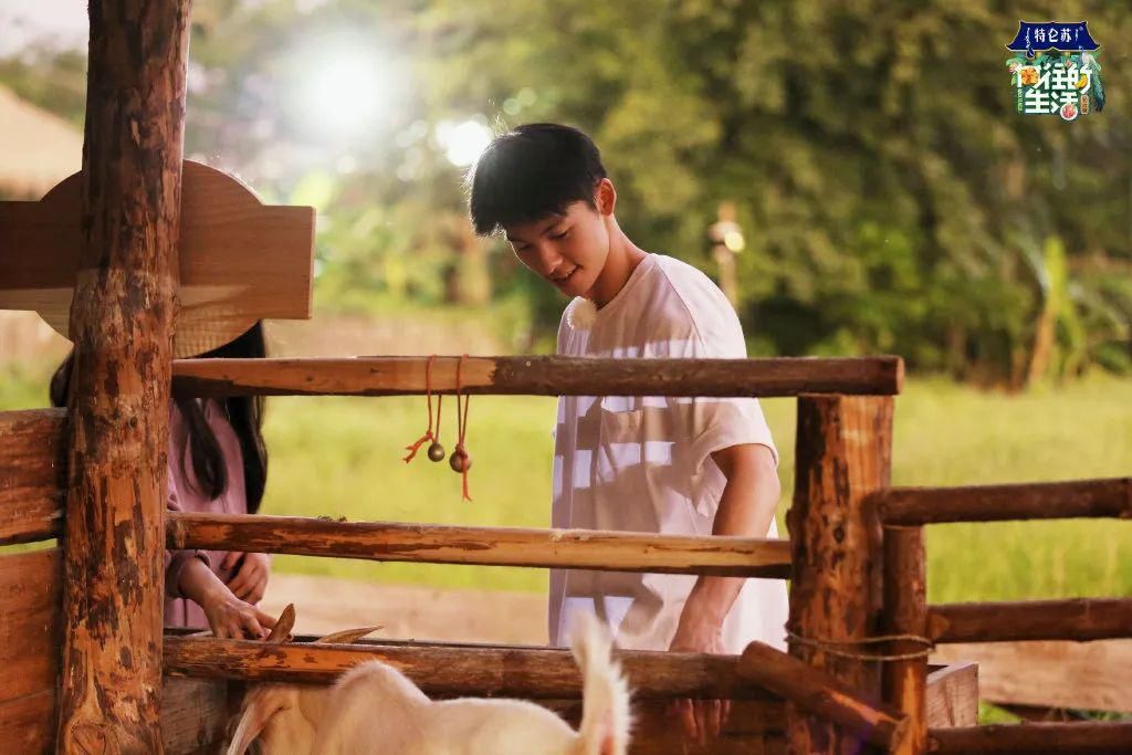  追不|《向往的生活》开始让人追不下去了？我不信！