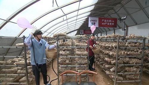  厉害|厉害了，任嘉伦！《极限挑战宝藏行》获得西藏站旅程最高助力值！