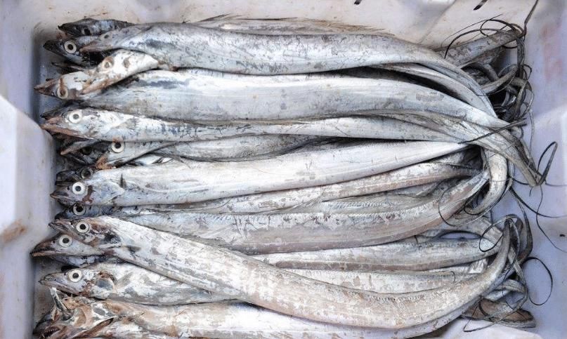  购买|买带鱼时，牢记4买3不买，摊主不敢忽悠你，个个都是好带鱼