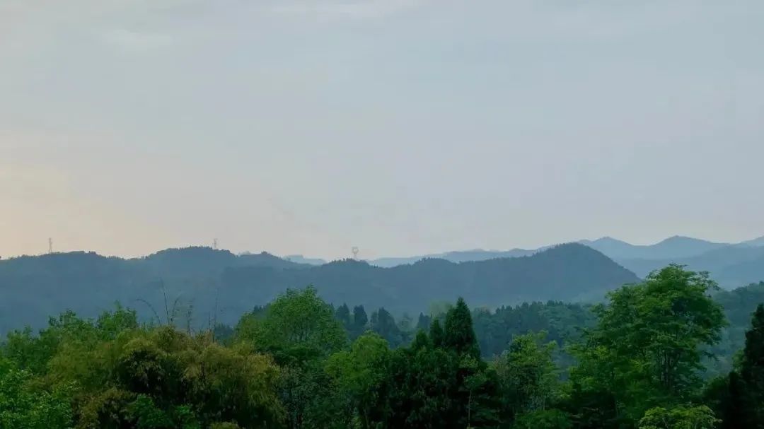  仁寿|仁寿有个村，名字叫“同意”！