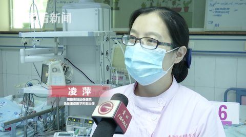  野生|4岁男孩上山采蘑菇 把一条毒蛇当成了野生菌...