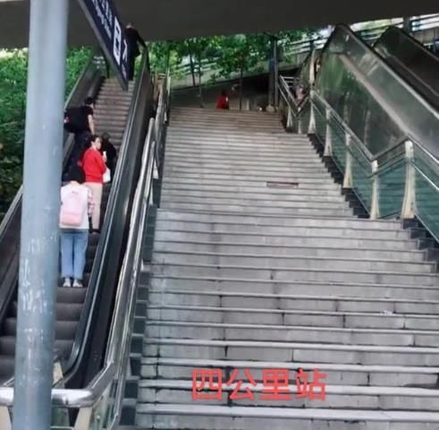 坐车|女孩天桥上乞讨“求6元坐车回家”，路人：3年还没凑齐6元？