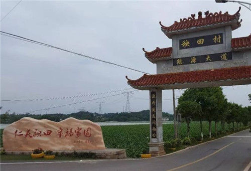  村里|中国学霸村：走出26名博士，128名硕士，659名大学生，是你家乡吗