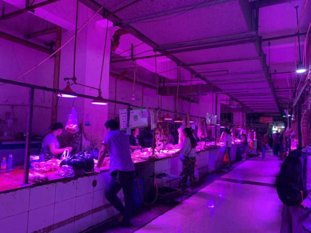  鸡蛋|贵阳猪肉、鸡蛋价格上涨？记者实地探访发现…