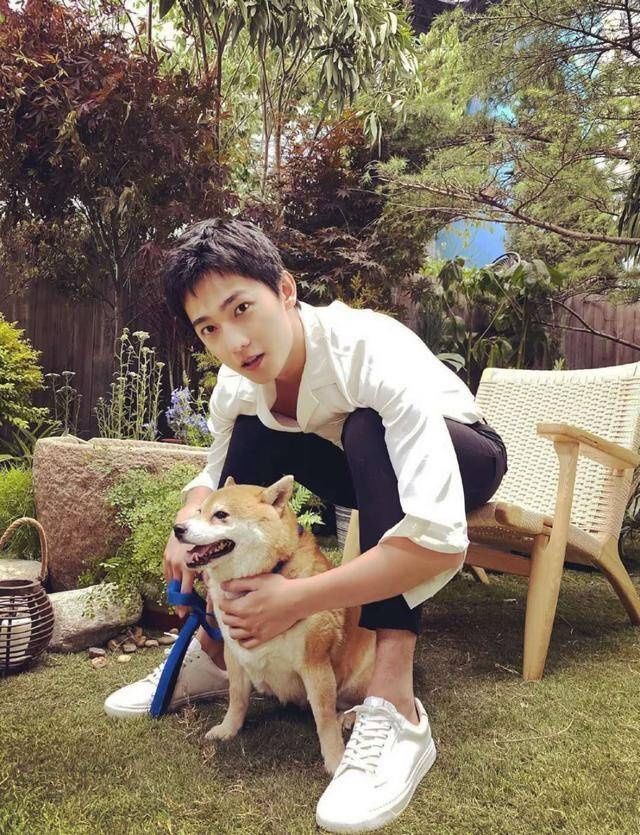 真人秀|期待!杨洋时隔五年再上真人秀