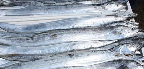  海鲜|买带鱼时，遇见这“3种”千万别买，海鲜老板：反正我不让家人吃