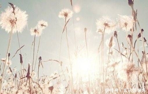  哭泣|别为失去的哭泣，为还留在你身边的一切微笑吧，你可以更幸福的