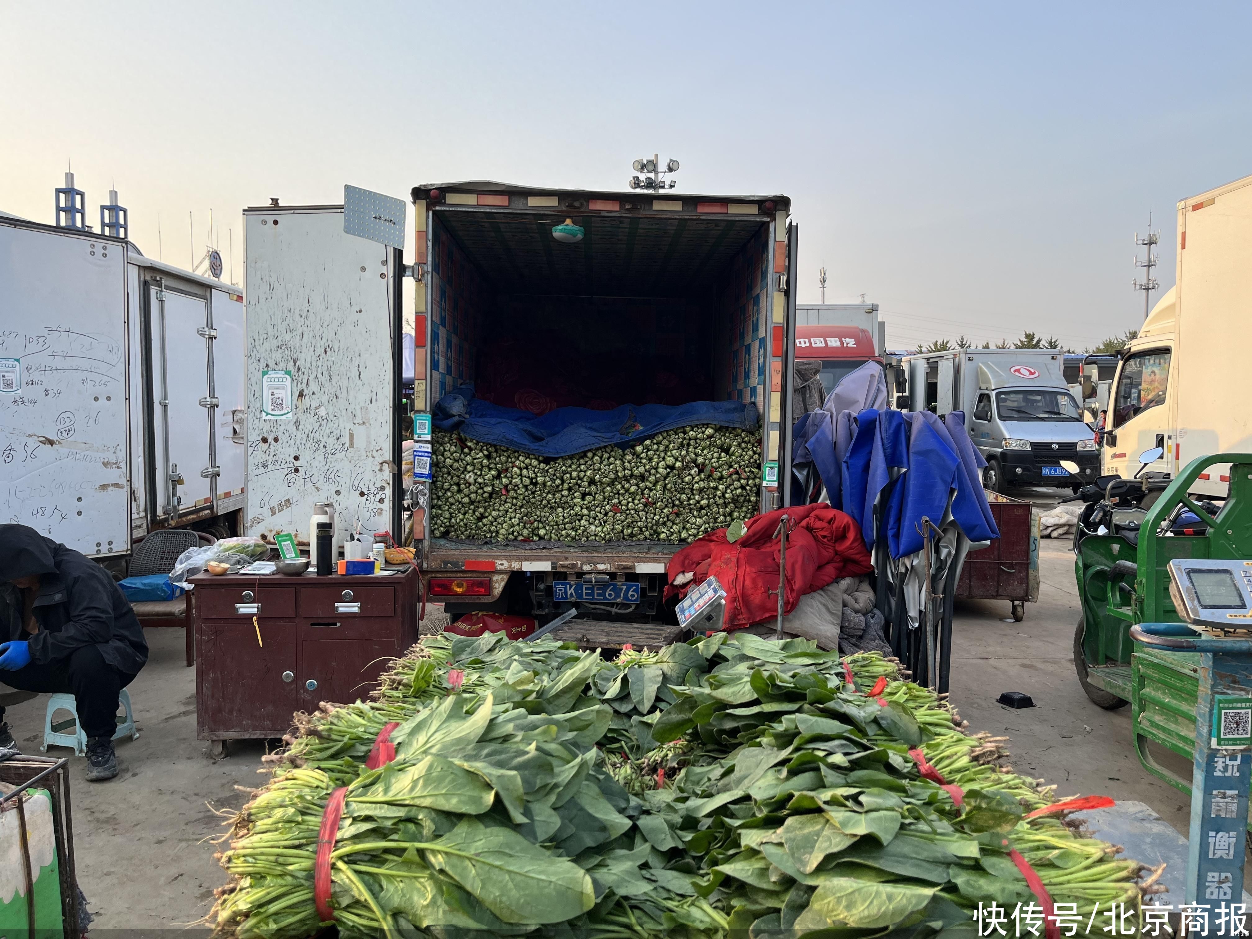 从大路菜到果蔬肉  北京蔬果供应品类增加了，菜价降了