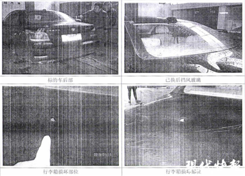  宝马|宝马违停被大树砸坏，车主状告栽树公司