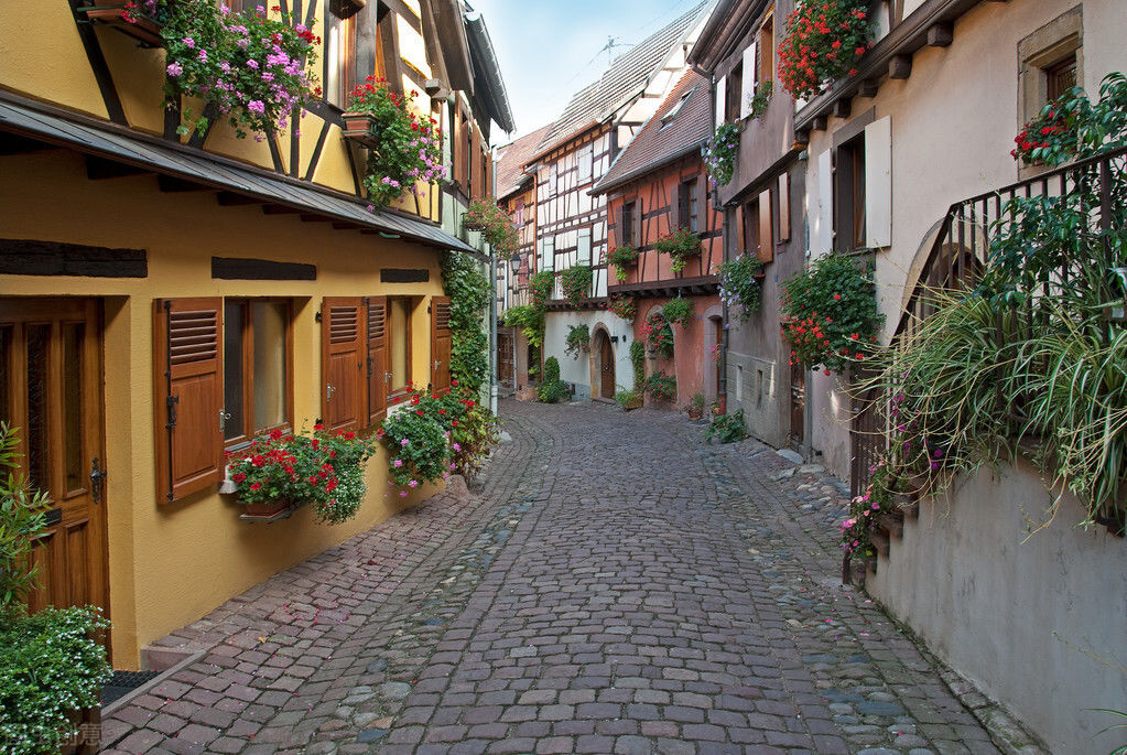 论文|直击:普通德国人的日子