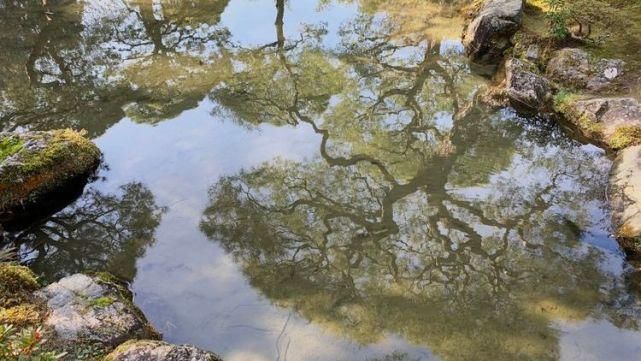  园林设计|从金阁、银阁的园林设计中，深入分析日式庭院的阴翳美学