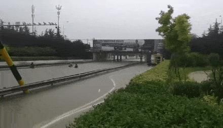 道路积水|山东多地暴雨！潍坊昨晚这里下的最大