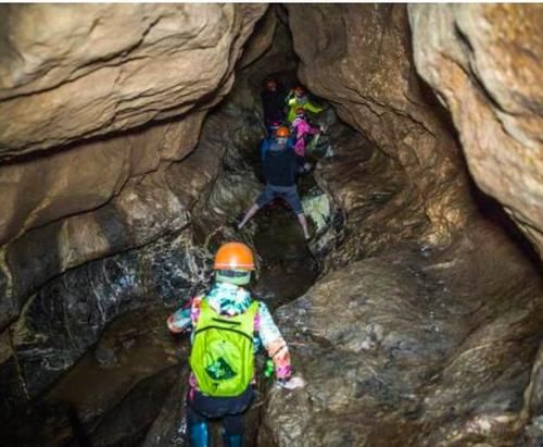  无所遁形|27年前的凶杀案，通过两项尖端技术得以破获，犯罪分子无所遁形