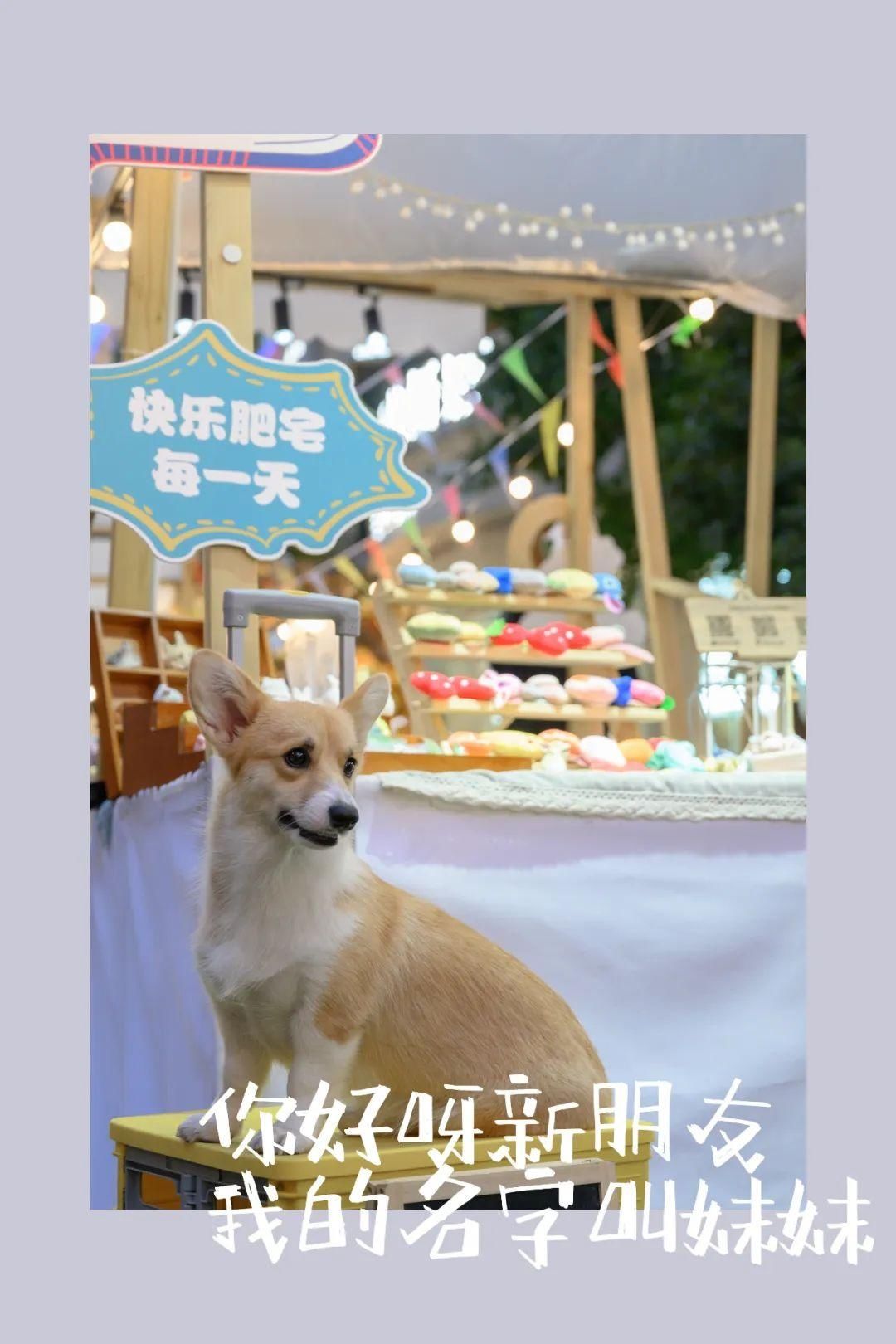  热闹|全武汉都在逛！是什么热闹？