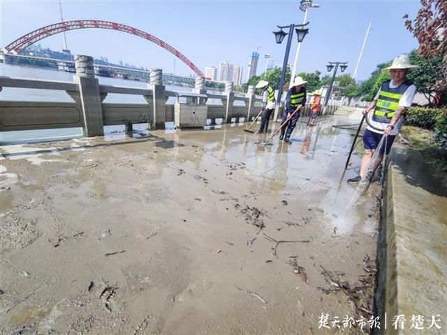  龙王庙|洪水回落，汉口龙王庙观景大道已清淤