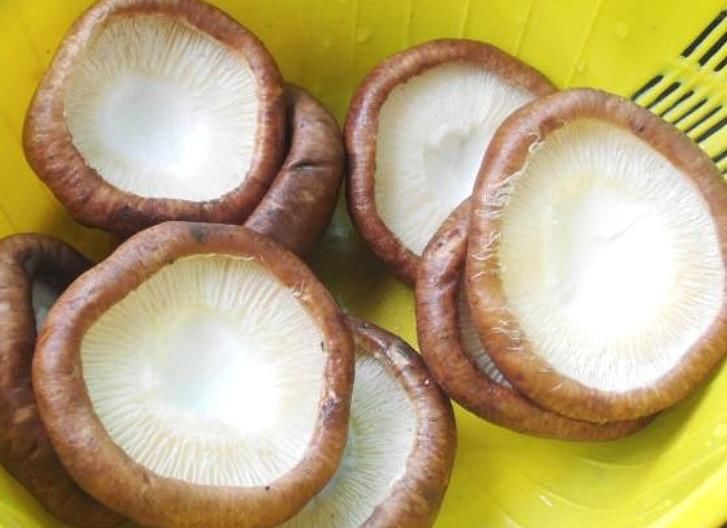  香菇蒸鹌鹑|香菇加“一宝”，孩子要常吃，比排骨便宜，比牛奶强，提高记忆力