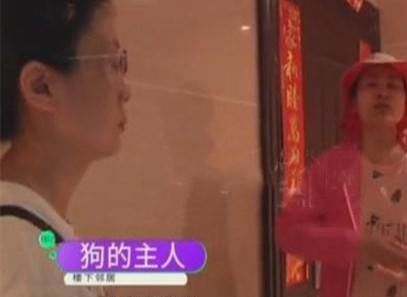  咬伤|孩子被狗咬伤后，女子上门理论又被咬，狗主人：你自己来被咬的我为什么担全责？