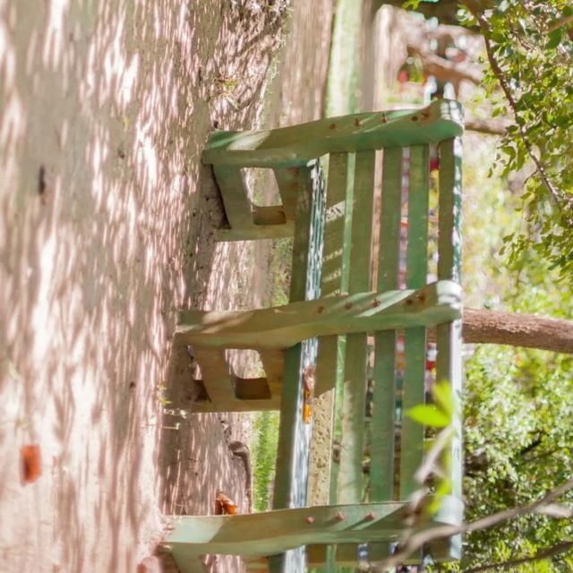  shui|陈燕：光不度，shui水成文