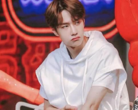  节目|王一博在《天天向上》节目中，遇见那样好的主持人，真好