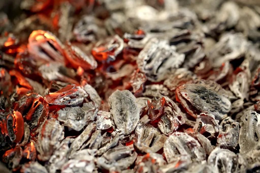  混战|烧烤2020：超30万家门店混战，谁是破圈儿黑马？