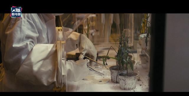 穿越|《星际穿越》深度彩蛋分析!为何选玉米为末日谷物原来还有这操作